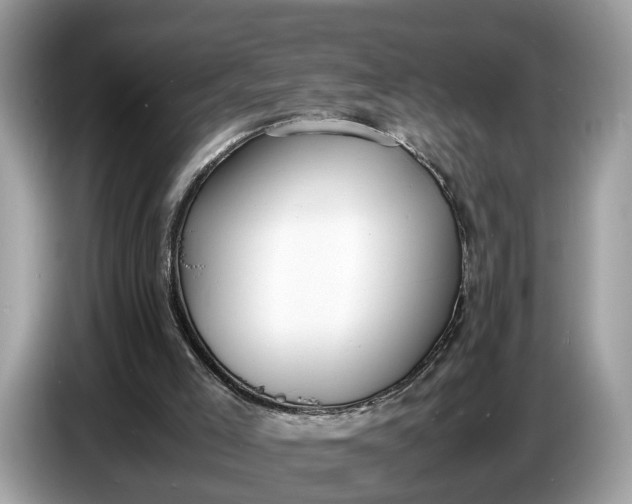 X0000086720005200704271620