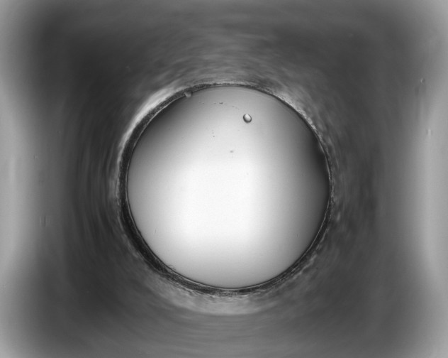 X0000086720008200704271620
