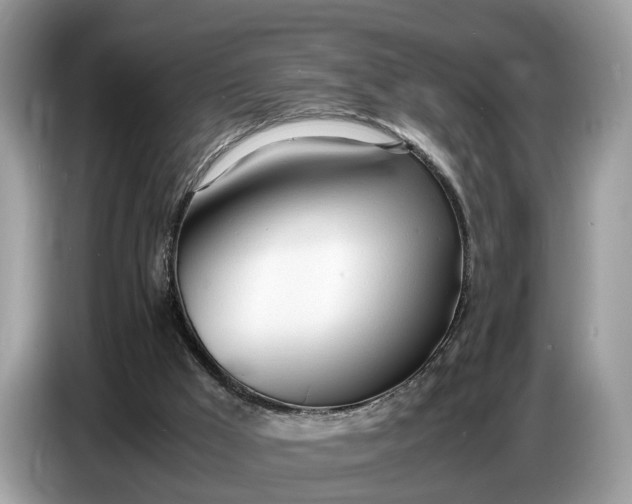X0000086720009200704271620