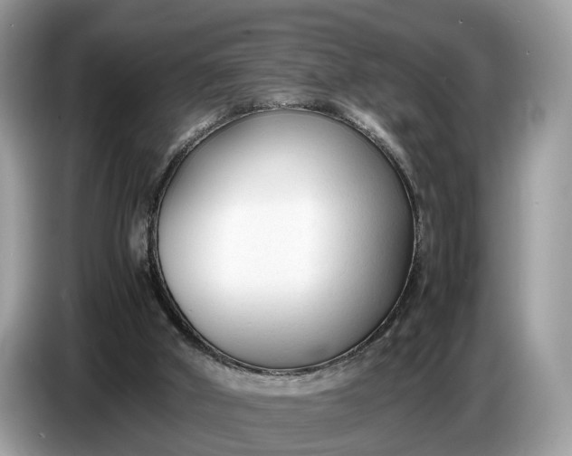 X0000086720010200704271620