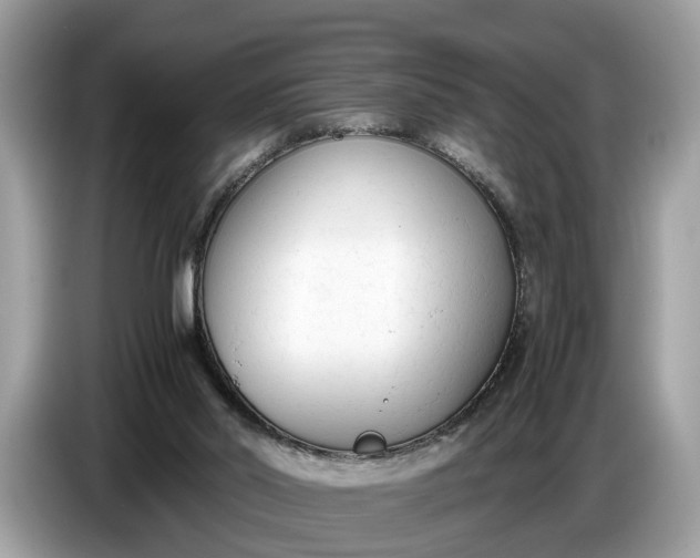 X0000086720014200704271620