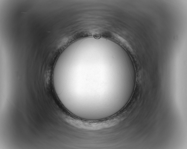 X0000086720018200704271619