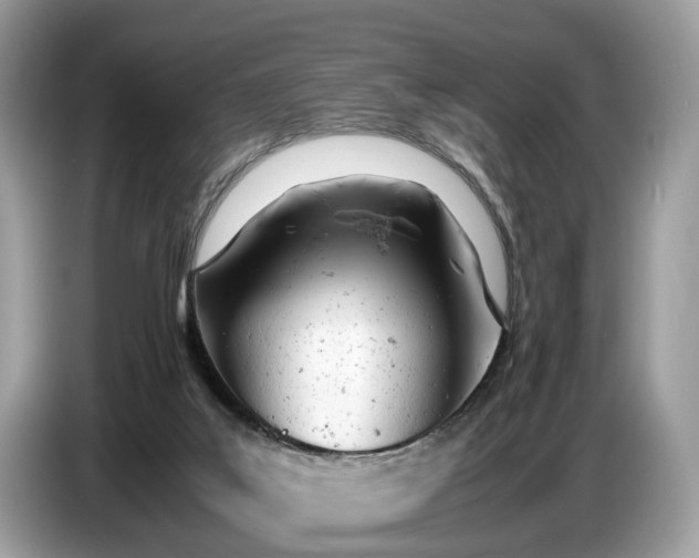 X0000086720019200704271619