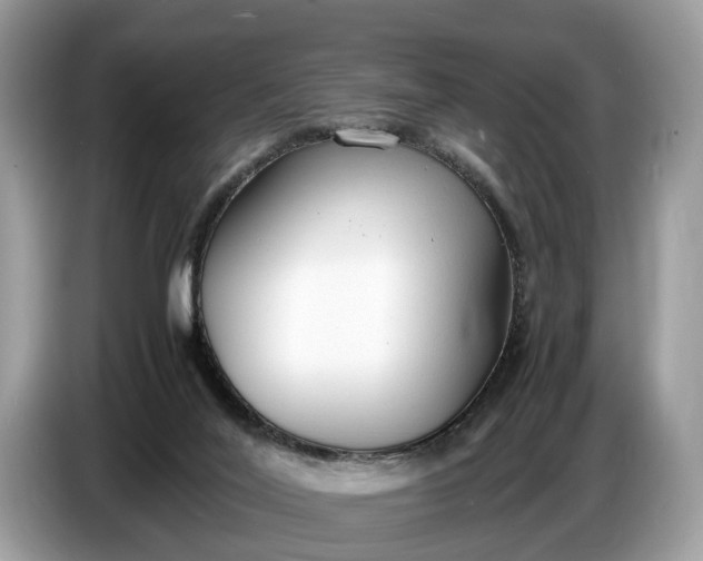 X0000086720020200704271619