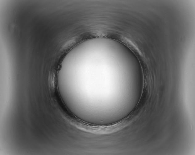 X0000086720023200704271619