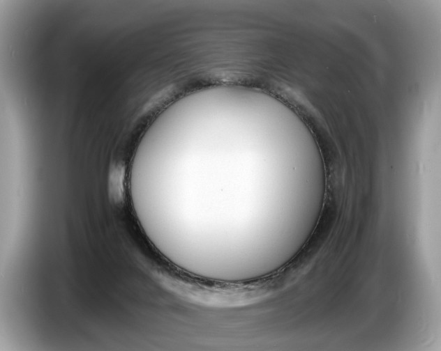 X0000086720024200704271619