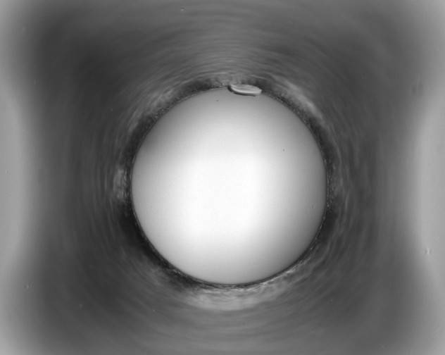 X0000086720025200704271619