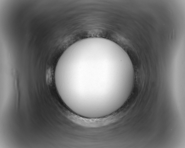 X0000086720038200704271619