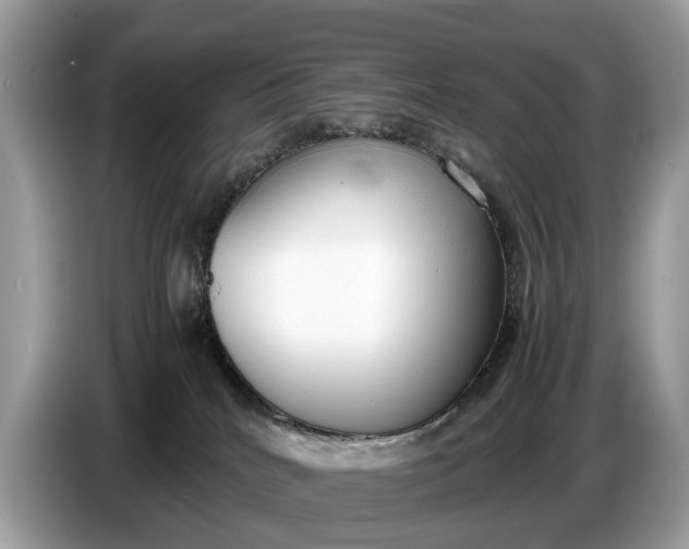 X0000086720040200704271619