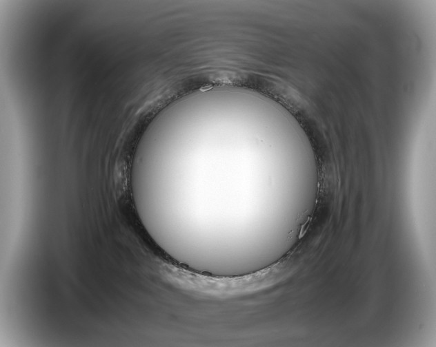 X0000086720043200704271619