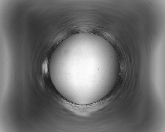 X0000086720046200704271619