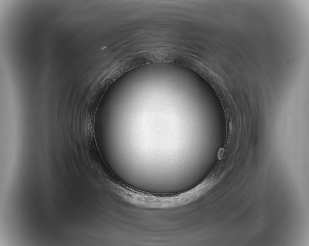 X0000086720048200704271619