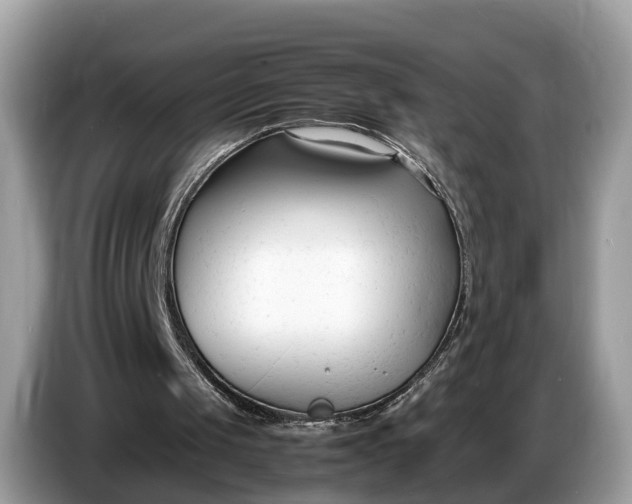 X0000086720049200704271618