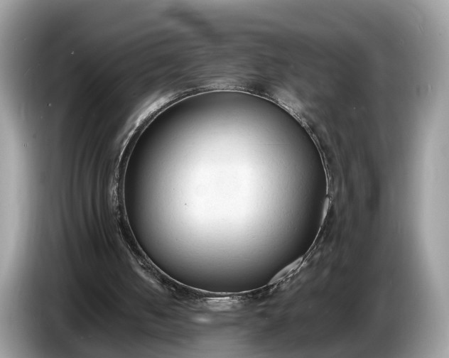 X0000086720050200704271618