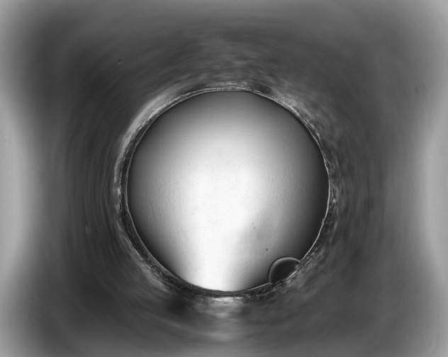 X0000086720053200704271619