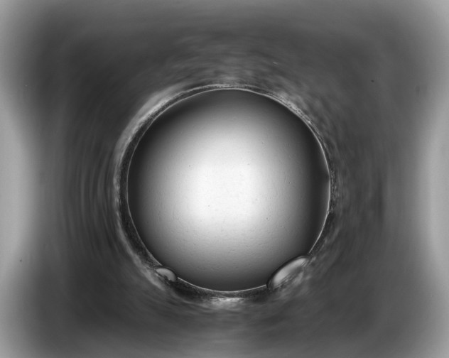 X0000086720055200704271619