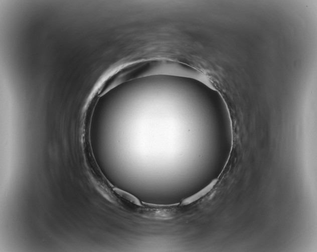 X0000086720056200704271619
