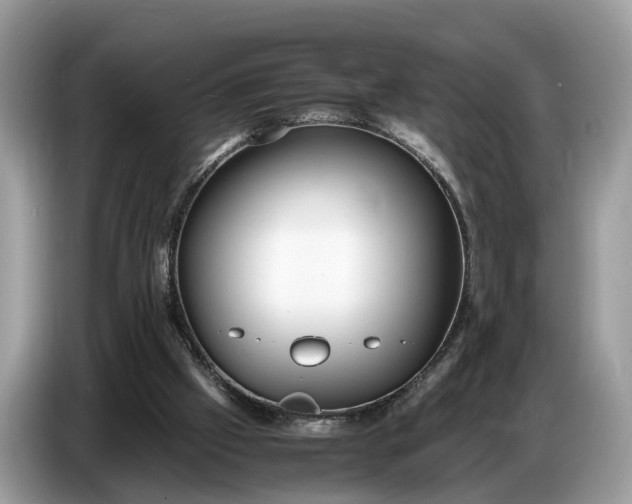 X0000086720057200704271619