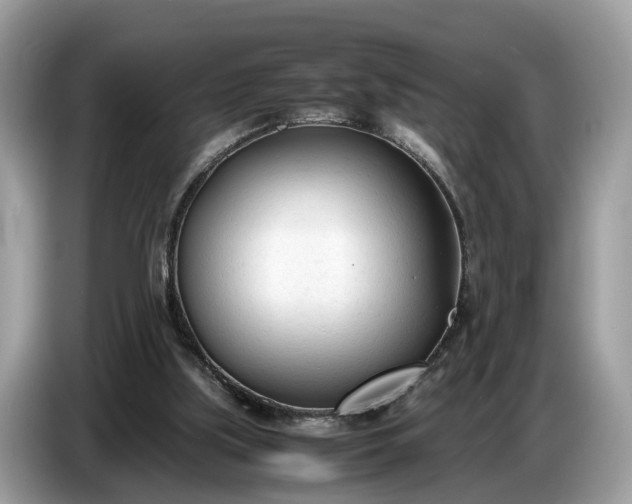 X0000086720059200704271619