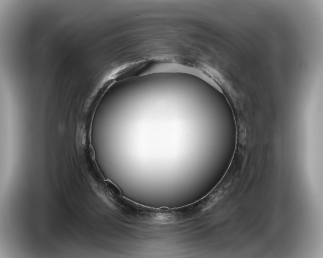 X0000086720060200704271619