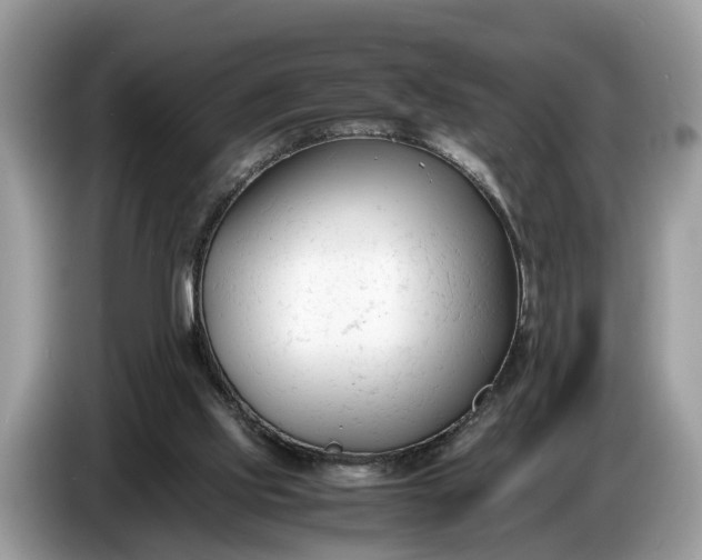 X0000086720061200704271619