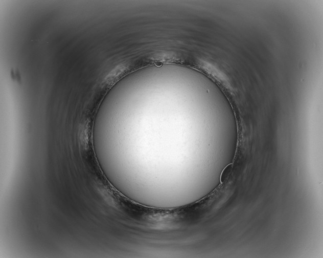 X0000086720065200704271619