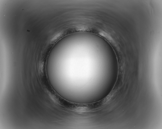X0000086720066200704271619