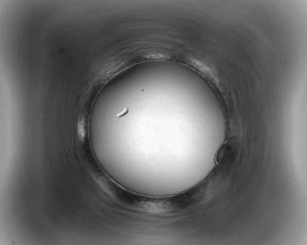X0000086720069200704271619