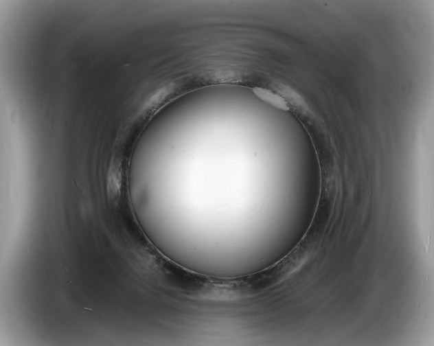X0000086720072200704271619