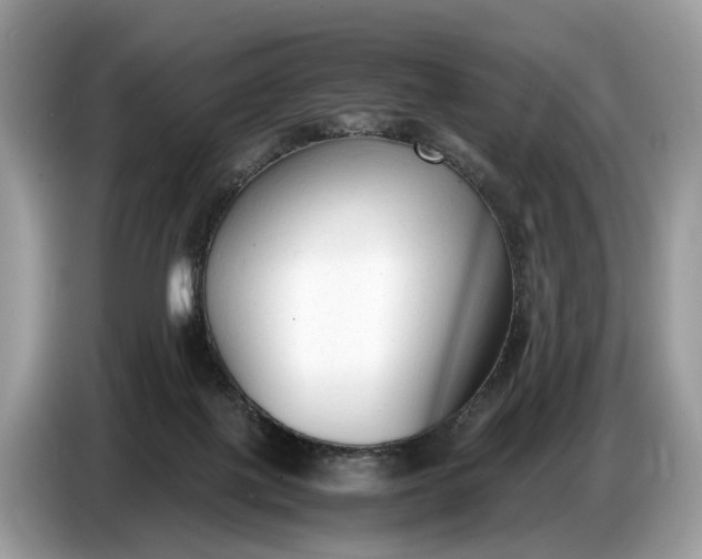 X0000086720075200704271619