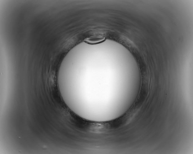X0000086720083200704271619