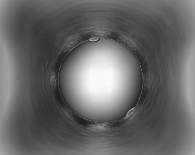 X0000086720086200704271619