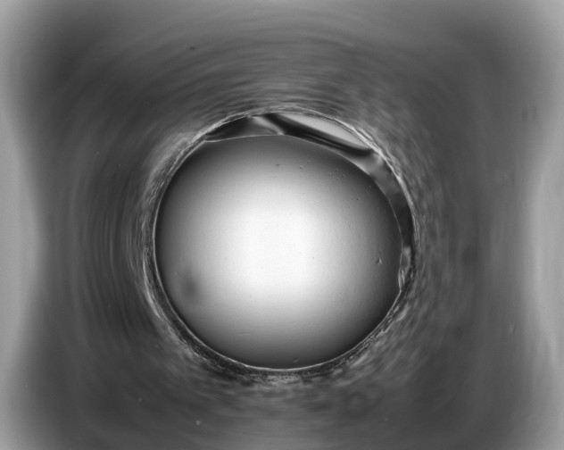 X0000086720097200704271618