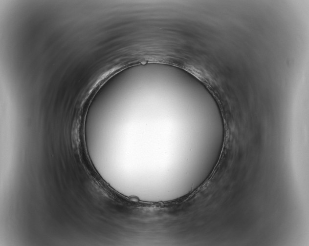 X0000086720098200704271618
