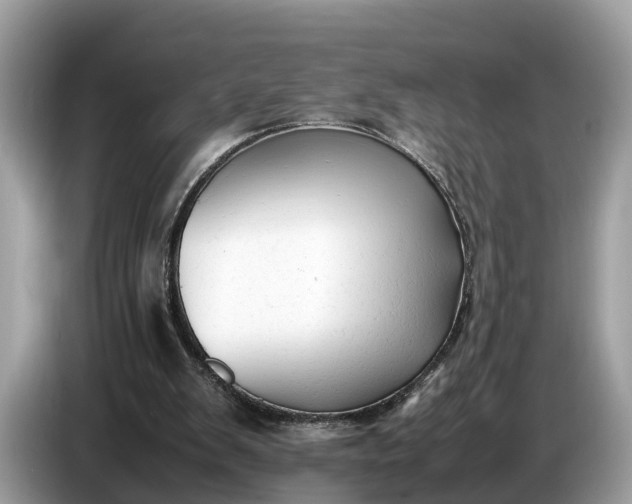 X0000086720103200704271618