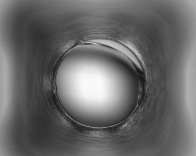 X0000086720105200704271618