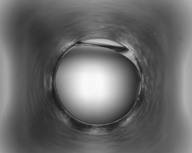 X0000086720109200704271618