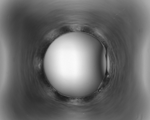 X0000086720125200704271618