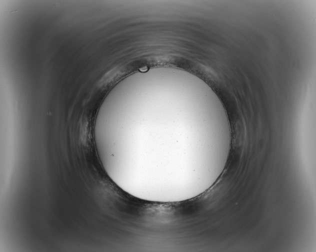 X0000086720140200704271618