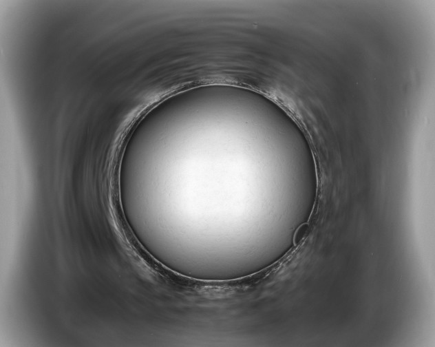 X0000086720145200704271617