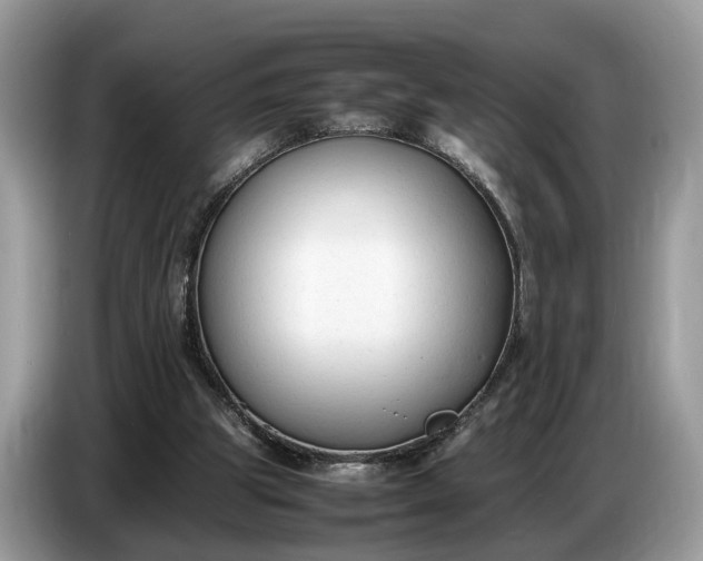 X0000086720153200704271617
