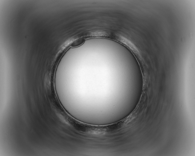 X0000086720155200704271617