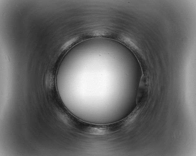 X0000086720164200704271617