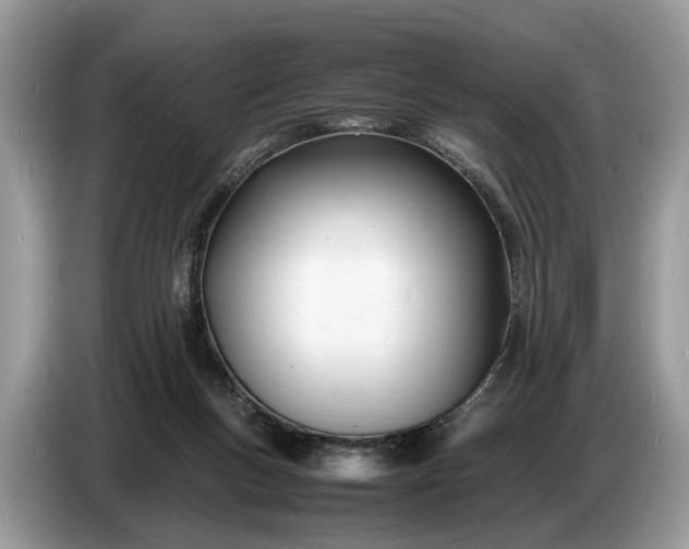 X0000086720167200704271618