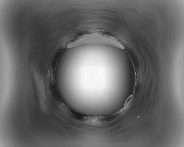 X0000086720182200704271618