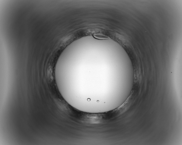 X0000086720187200704271618