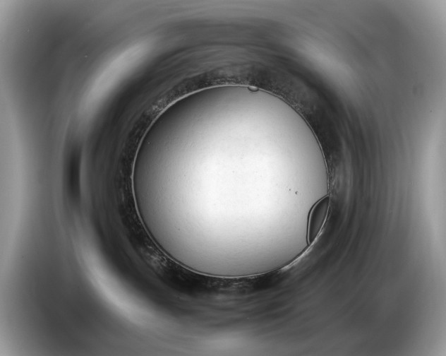 X0000086720191200704271618