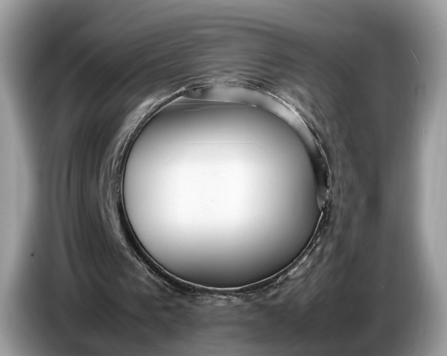 X0000086720193200704271617