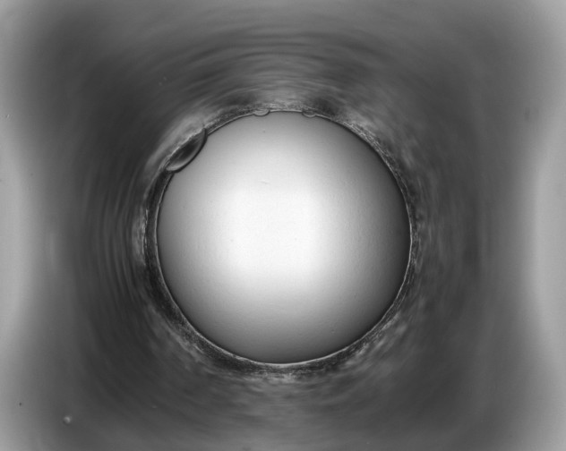 X0000086720194200704271617