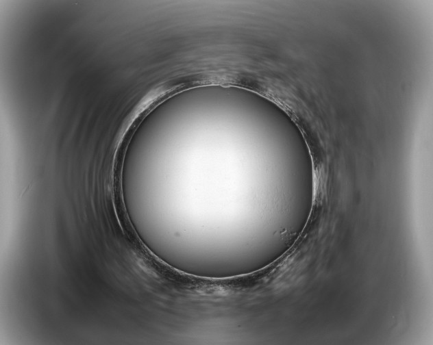 X0000086720195200704271617